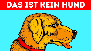 Foto von Fahrzeug